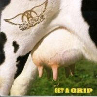 Get A Grip (1993)